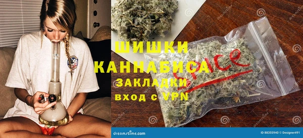 мдпв Тавда
