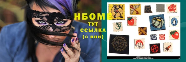 индика Баксан