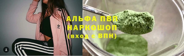 индика Баксан