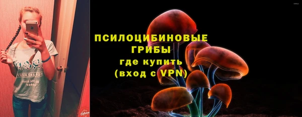 экстази Белокуриха