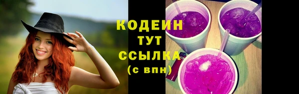 индика Баксан