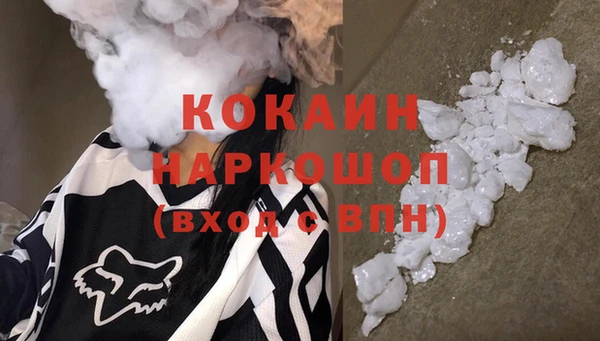 индика Баксан