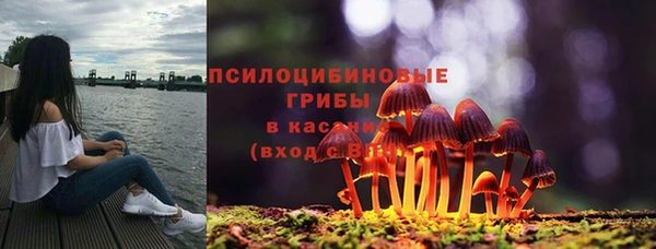 шишки Балахна