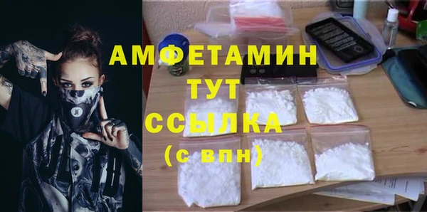 шишки Балахна