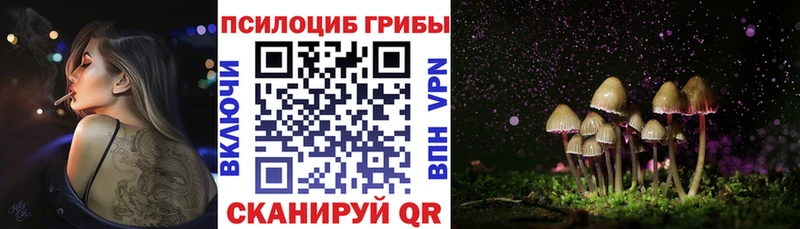 blacksprut рабочий сайт  купить  сайты  Бологое  Галлюциногенные грибы прущие грибы 